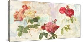 Redoute's Roses 2.0-Eric Chestier-Stretched Canvas