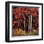 Reds-Nancy O'toole-Framed Giclee Print