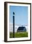 Redshank (Tringa Totanus), Flatey Island, Breidafjordur, Iceland-null-Framed Photographic Print