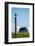 Redshank (Tringa Totanus), Flatey Island, Breidafjordur, Iceland-null-Framed Photographic Print