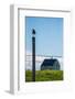 Redshank (Tringa Totanus), Flatey Island, Breidafjordur, Iceland-null-Framed Photographic Print