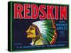 Redskin Apple Label - Yakima, WA-Lantern Press-Stretched Canvas