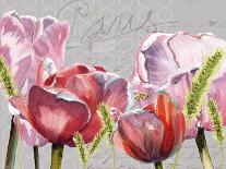 Blush Tulips I-Redstreake-Stretched Canvas