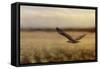 Redtail in the Field-Jai Johnson-Framed Stretched Canvas