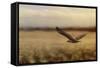Redtail in the Field-Jai Johnson-Framed Stretched Canvas