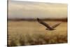 Redtail in the Field-Jai Johnson-Stretched Canvas