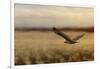 Redtail in the Field-Jai Johnson-Framed Giclee Print