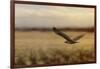 Redtail in the Field-Jai Johnson-Framed Giclee Print