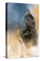 Redtail in Winter-Jai Johnson-Stretched Canvas