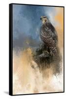 Redtail in Winter-Jai Johnson-Framed Stretched Canvas