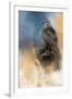 Redtail in Winter-Jai Johnson-Framed Giclee Print