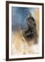 Redtail in Winter-Jai Johnson-Framed Giclee Print