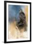 Redtail in Winter-Jai Johnson-Framed Giclee Print