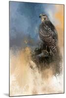 Redtail in Winter-Jai Johnson-Mounted Giclee Print