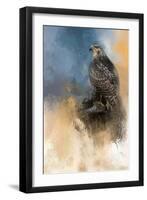 Redtail in Winter-Jai Johnson-Framed Giclee Print