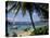 Reduit Beach, Rodney Bay, St. Lucia, Windward Islands, West Indies, Caribbean, Central America-John Miller-Stretched Canvas