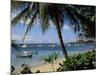 Reduit Beach, Rodney Bay, St. Lucia, Windward Islands, West Indies, Caribbean, Central America-John Miller-Mounted Photographic Print