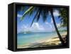 Reduit Beach, St. Lucia, West Indies-John Miller-Framed Stretched Canvas