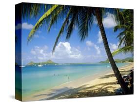 Reduit Beach, St. Lucia, West Indies-John Miller-Stretched Canvas