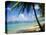 Reduit Beach, St. Lucia, West Indies-John Miller-Stretched Canvas