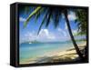 Reduit Beach, St. Lucia, West Indies-John Miller-Framed Stretched Canvas