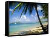 Reduit Beach, St. Lucia, West Indies-John Miller-Framed Stretched Canvas