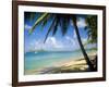 Reduit Beach, St. Lucia, West Indies-John Miller-Framed Photographic Print