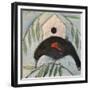 Redwing House-Tim Nyberg-Framed Giclee Print