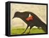 Redwing Muses-Tim Nyberg-Framed Stretched Canvas