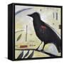 Redwing No. 3-Tim Nyberg-Framed Stretched Canvas