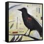 Redwing No. 3-Tim Nyberg-Framed Stretched Canvas