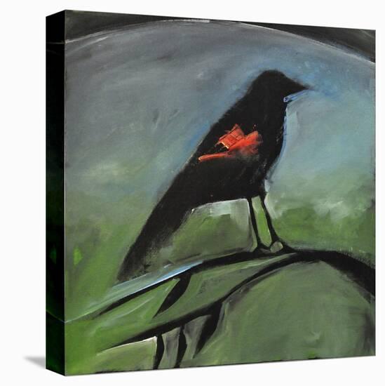 Redwing-Tim Nyberg-Stretched Canvas