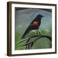 Redwing-Tim Nyberg-Framed Giclee Print