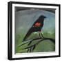 Redwing-Tim Nyberg-Framed Giclee Print