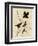 Redwinged Starling-null-Framed Giclee Print