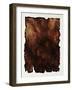 Redwood Burl-Sydney Edmunds-Framed Giclee Print