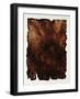 Redwood Burl-Sydney Edmunds-Framed Giclee Print