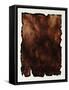 Redwood Burl-Sydney Edmunds-Framed Stretched Canvas