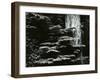 Redwood, California, 1964-Brett Weston-Framed Photographic Print