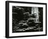 Redwood, California, 1964-Brett Weston-Framed Photographic Print