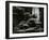 Redwood, California, 1964-Brett Weston-Framed Photographic Print
