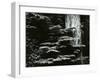 Redwood, California, 1964-Brett Weston-Framed Photographic Print