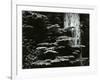 Redwood, California, 1964-Brett Weston-Framed Photographic Print