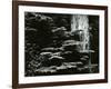 Redwood, California, 1964-Brett Weston-Framed Photographic Print