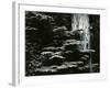 Redwood, California, 1964-Brett Weston-Framed Photographic Print