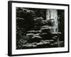 Redwood, California, 1964-Brett Weston-Framed Photographic Print