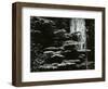 Redwood, California, 1964-Brett Weston-Framed Photographic Print