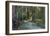 Redwood Forest I-Rita Crane-Framed Photographic Print