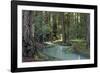 Redwood Forest I-Rita Crane-Framed Photographic Print