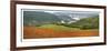 Redwood Forest Panorama-Donald Paulson-Framed Giclee Print